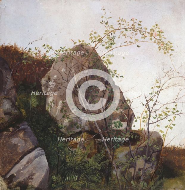 Study of Dog Roses and Ferns, 1834. Creator: Adolph Tidemand.