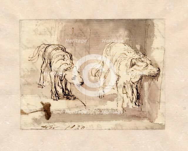 Study of Dogs, 1820. Creator: David Wilkie.