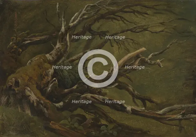 Study of decaying Tree, 1837. Creator: Thomas Fearnley.