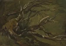Study of decaying Tree, 1837. Creator: Thomas Fearnley