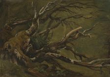 Study of decaying Tree, 1837. Creator: Thomas Fearnley