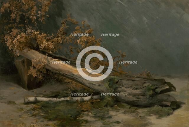 Study of Dry Tree, around 1894-1895. Creator: Ludovit Cordak.