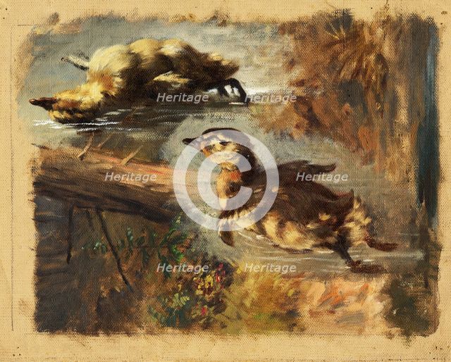 Study of Ducks on the Water I, 1840-1850. Creator: Friedrich Carl von Scheidlin.