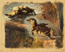 Study of Ducks on the Water I, 1840-1850. Creator: Friedrich Carl von Scheidlin
