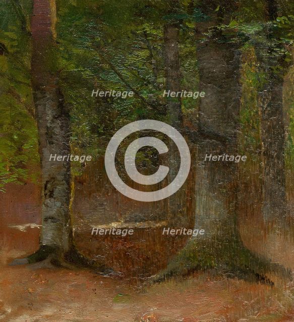Study of Forest, 1890-1900. Creator: Ladislav Mednyanszky.
