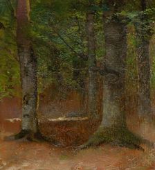 Study of Forest, 1890-1900. Creator: Ladislav Mednyanszky