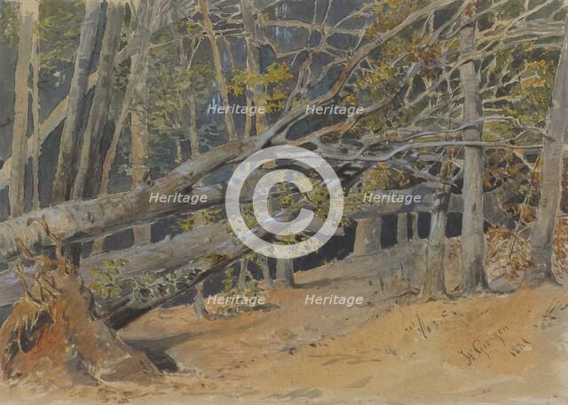 Study of felled trees, 1881. Creator: Friedrich Carl von Scheidlin.