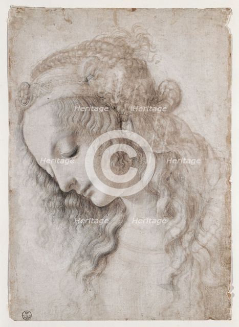 Study Of Female Face.