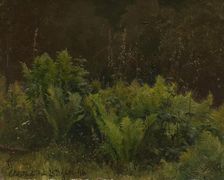 Study of Ferns, 1846. Creator: Hans Gude