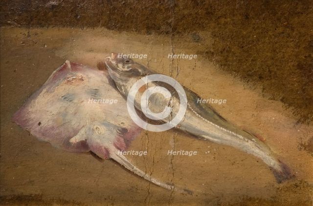 Study of Fish - Skate and Cod, 1842. Creator: David Cox the elder.