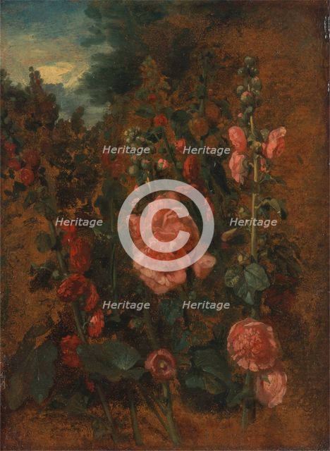 Study of Hollyhocks, ca. 1826. Creator: John Constable.
