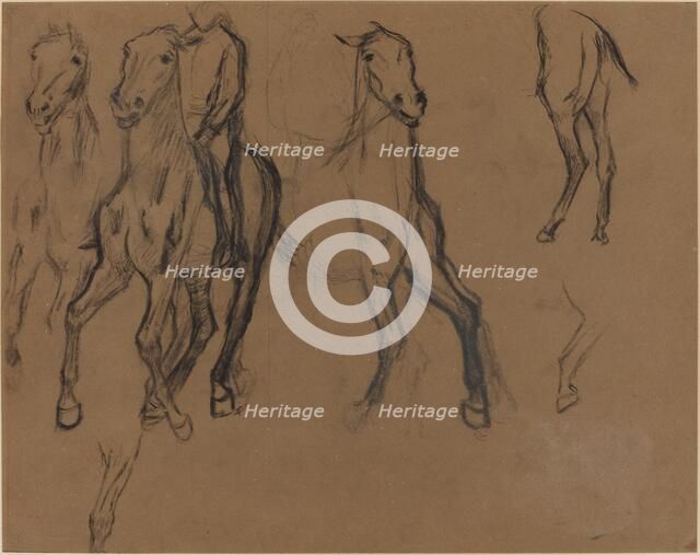 Study of Horses, c. 1886. Creator: Edgar Degas.