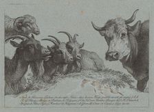 Study of Heads: Three Goats, an Ox, and a Ram, published c. 1783. Creator: Francesco Londonio
