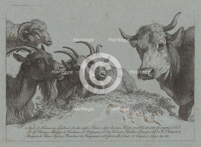 Study of Heads: Three Goats, an Ox, and a Ram, published c. 1783. Creator: Francesco Londonio.