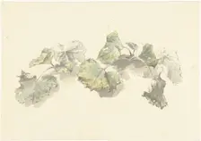 Study of leaves, 1787-1847. Creator: Josephus Augustus Knip