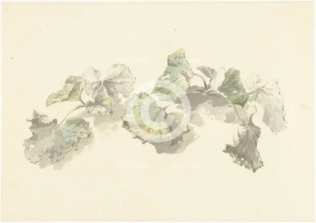 Study of leaves, 1787-1847. Creator: Josephus Augustus Knip.