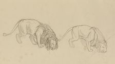 Study of Lions, c1900. Creator: Jean-Leon Gerome