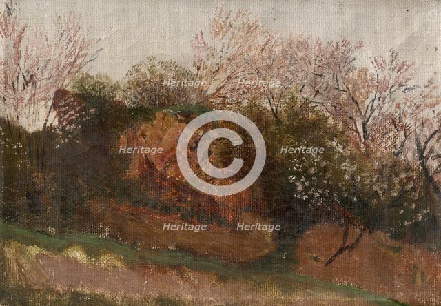 Study of Nature in Spring, 1900-1910. Creator: Ladislav Mednyanszky.