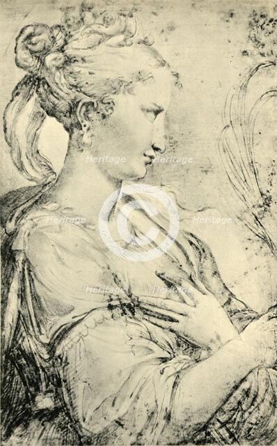 Study of Saint Catherine, c1530-1540, (1943). Creator: Parmigianino.