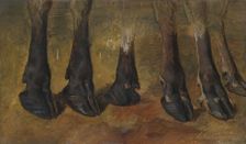 Study of six hooves, 1855. Creator: Anders Monsen Askevold