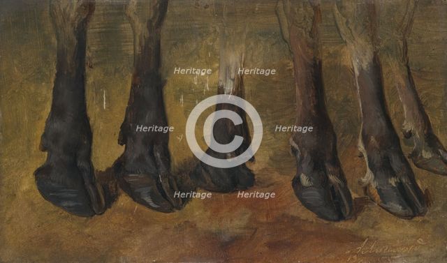 Study of six hooves, 1855. Creator: Anders Monsen Askevold.