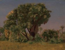 Study of Palm Trees, probably 1868. Creator: Jean-Leon Gerome