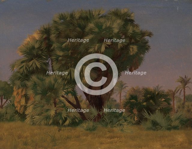 Study of Palm Trees, probably 1868. Creator: Jean-Leon Gerome.