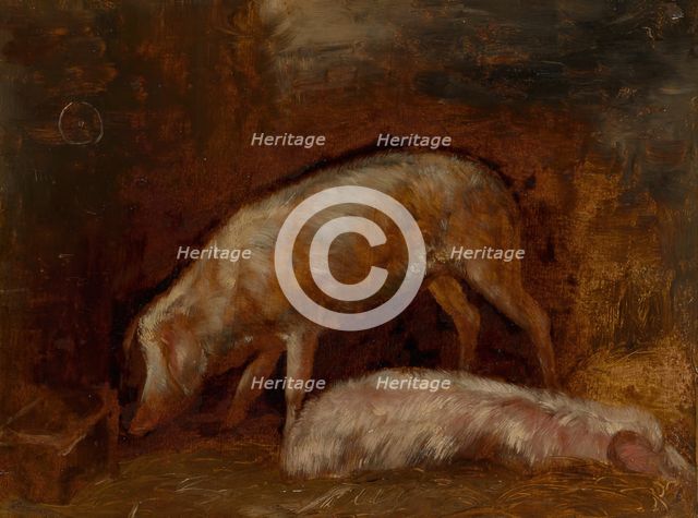 Study of Pigs, 1850/60. Creator: Alexandre Gabriel Decamps.
