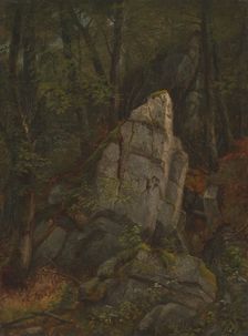 Study of Rocks in Pearson's Ravine, mid-1850s. Creator: Asher Brown Durand