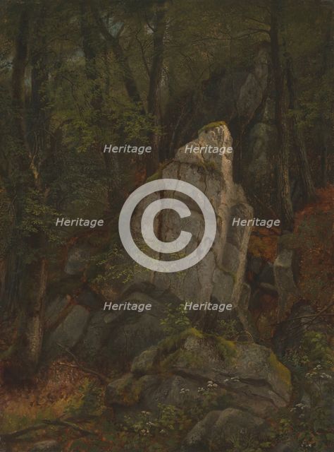 Study of Rocks in Pearson's Ravine, mid-1850s. Creator: Asher Brown Durand.