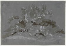 Study of Weeds, 1800-1850. Creator: Jean Antoine Linck (Swiss, 1766-1843)
