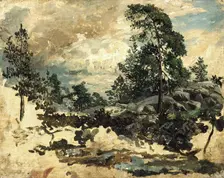 Study of Terrain, mid-19th century. Creator: Kilian Christoffer Zoll
