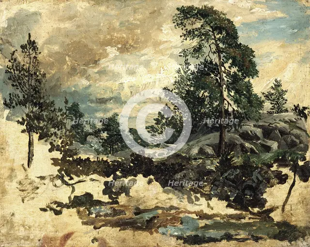 Study of Terrain, mid-19th century. Creator: Kilian Christoffer Zoll.