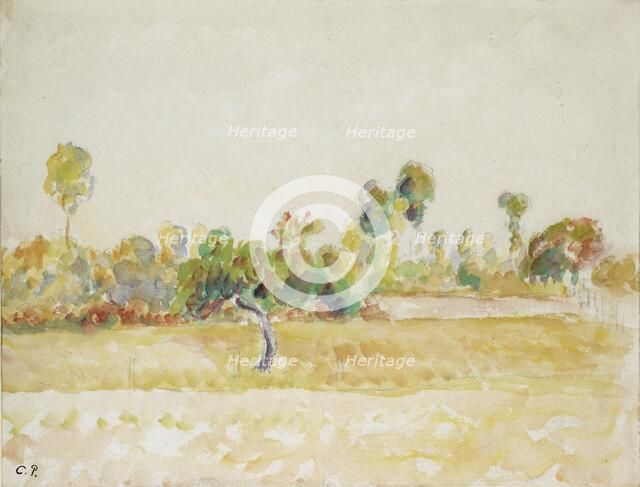 Study of the orchard at Eragny-sur-Epte, seen from the artist's house, c1886-1890. Artist: Camille Pissarro.