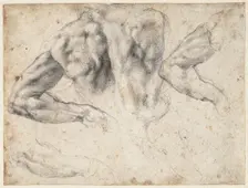 Study of the back and left arm of a male nude, 1523-1524 . Creator: Buonarroti, Michelangelo (1475-1564)