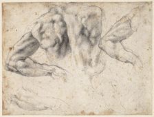 Study of the back and left arm of a male nude, 1523-1524 . Creator: Buonarroti, Michelangelo (1475-1564)