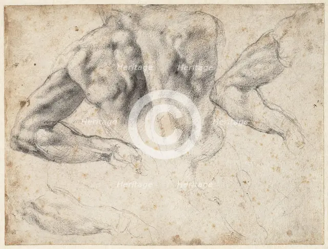 Study of the back and left arm of a male nude, 1523-1524 . Creator: Buonarroti, Michelangelo (1475-1564).