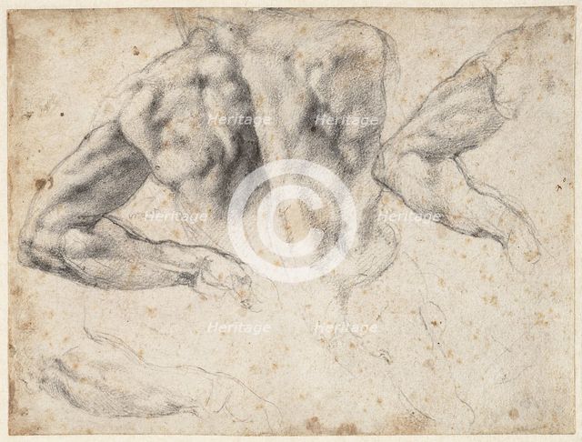 Study of the back and left arm of a male nude, 1523-1524 . Creator: Buonarroti, Michelangelo (1475-1564).