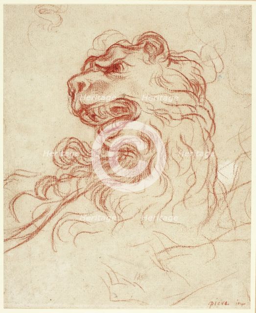 Study of the Head of a Lion, n.d. Creator: Baldassare Franceschini.