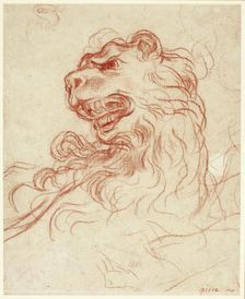 Study of the Head of a Lion, n.d. Creator: Baldassare Franceschini