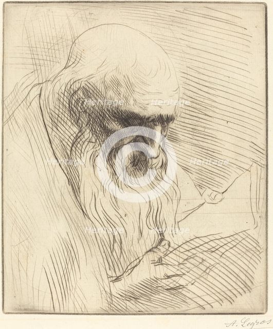 Study of the Head of a Man Reading (Etude de tete d'homme lisant). Creator: Alphonse Legros.