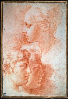 Study of the heads c1527. Artist: Parmigianino
