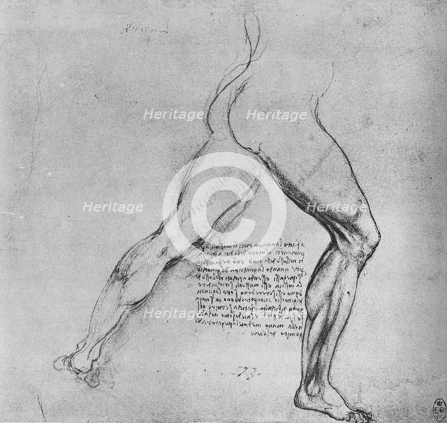 'Study of the Legs of a Man Lunging to the Right', c1480 (1945). Artist: Leonardo da Vinci.