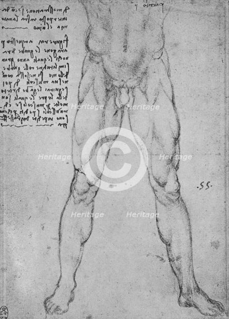 'Study of the Lower Half of a Nude Man Facing to the Front', c1480 (1945). Artist: Leonardo da Vinci.