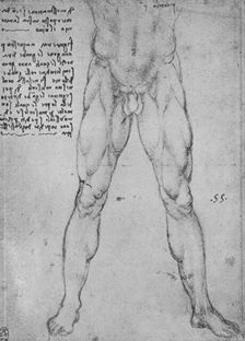 Study of the Lower Half of a Nude Man Facing to the Front c1480 (1945). Artist: Leonardo da Vinci