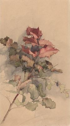 Study of the shrub, 1900. Creator: Karel Vitezslav Masek