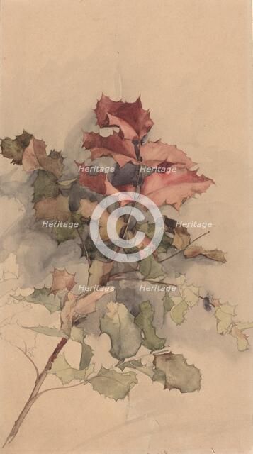 Study of the shrub, 1900. Creator: Karel Vitezslav Masek.