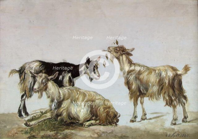 Study of three Goats, 1820. Creator: Johan Christian Dahl.