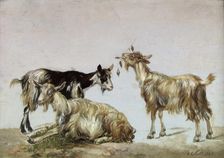 Study of three Goats, 1820. Creator: Johan Christian Dahl