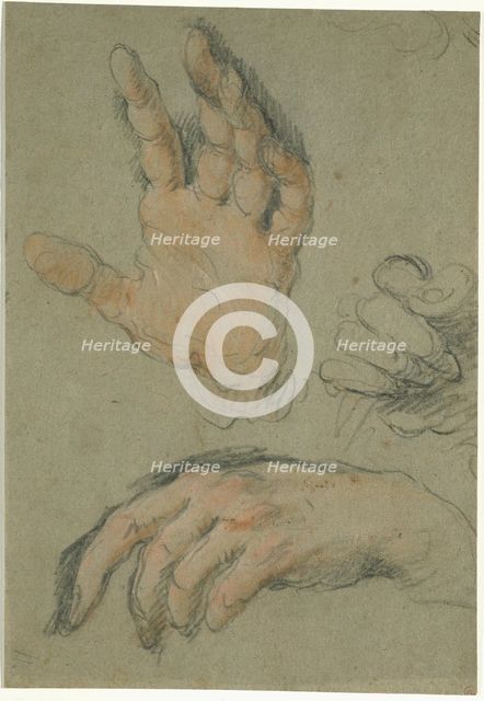 Study of Three Hands, between 1625 and 1630. Creator: Bernardo Strozzi.